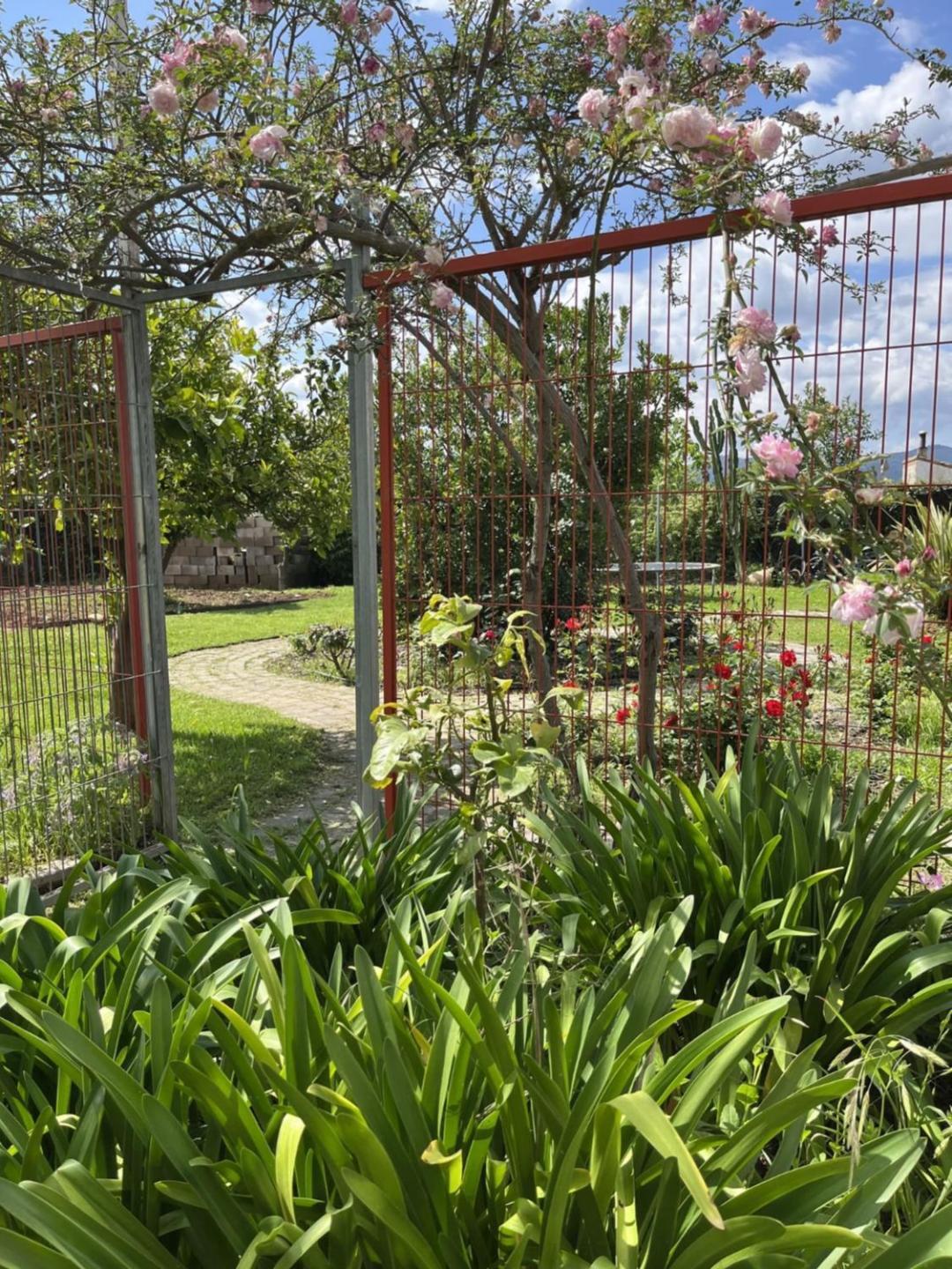 Country house El Secanet *