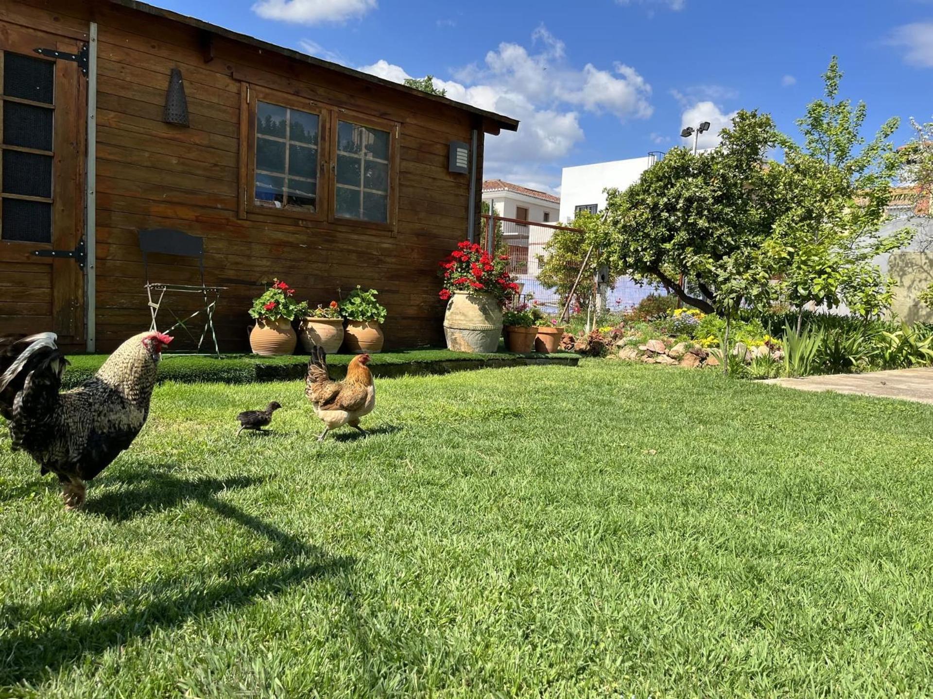Country house El Secanet *