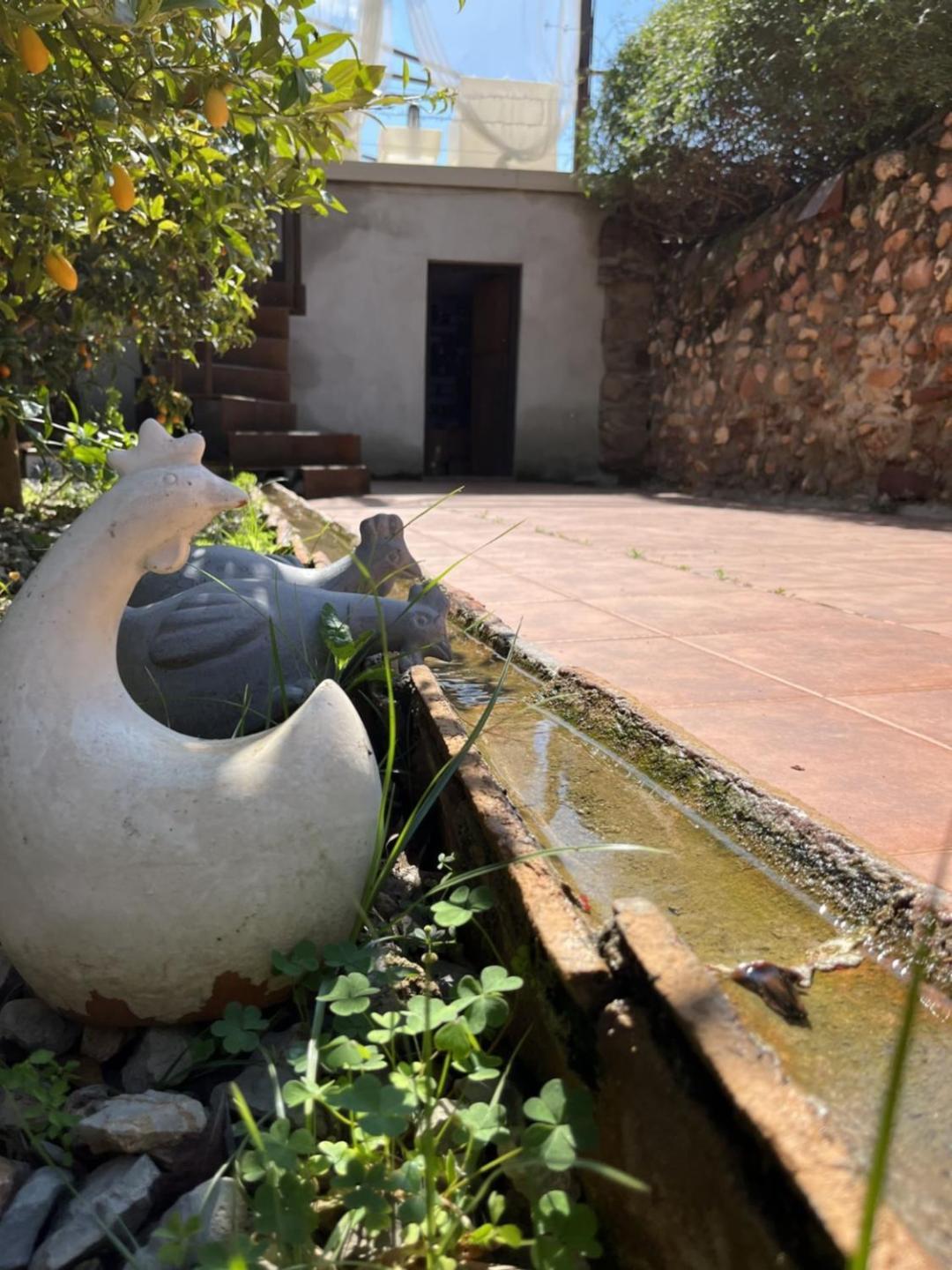 El Secanet Country house Algimia de Alfara