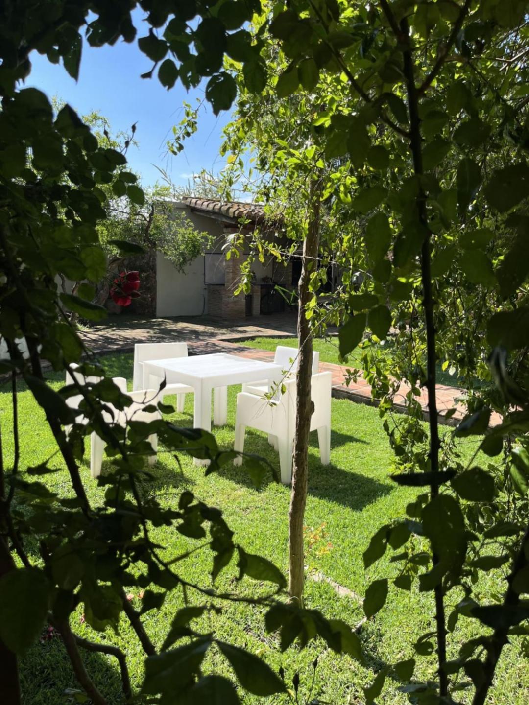 Country house El Secanet Algimia de Alfara