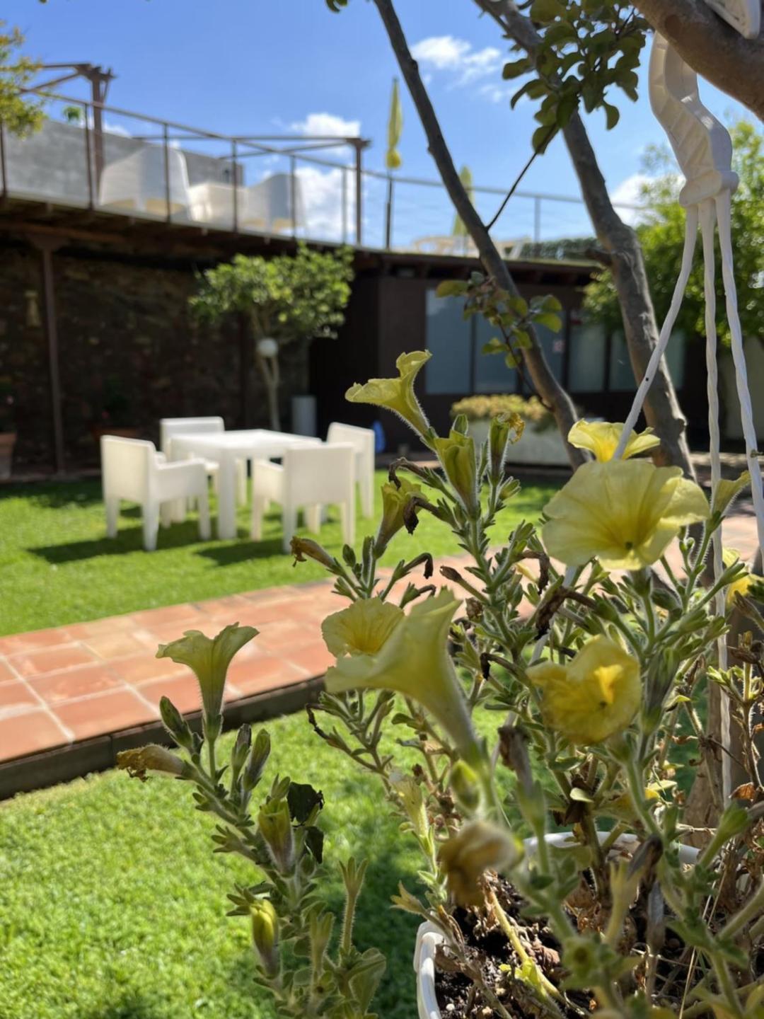 El Secanet Algimia de Alfara