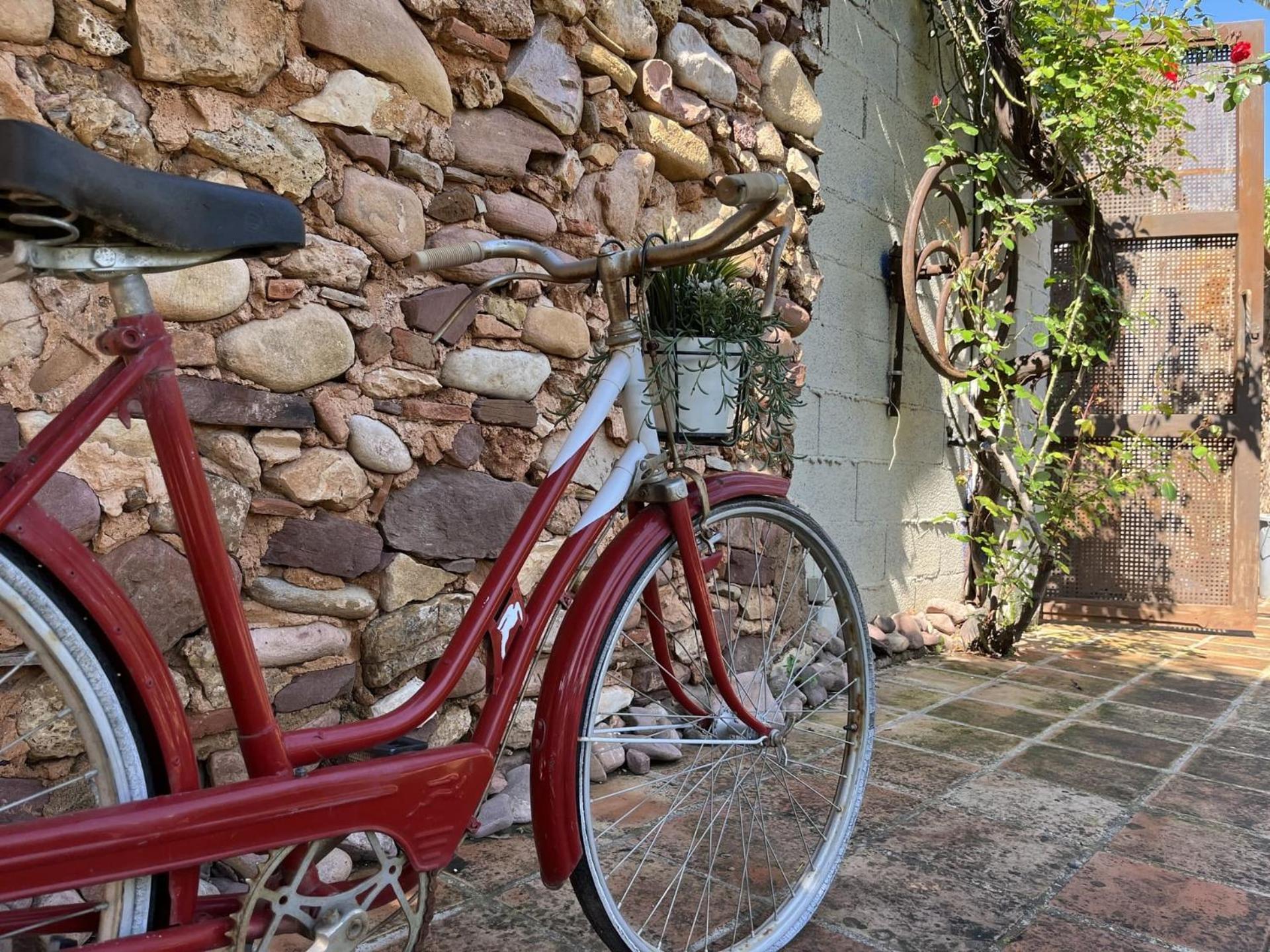 Country house El Secanet Algimia de Alfara